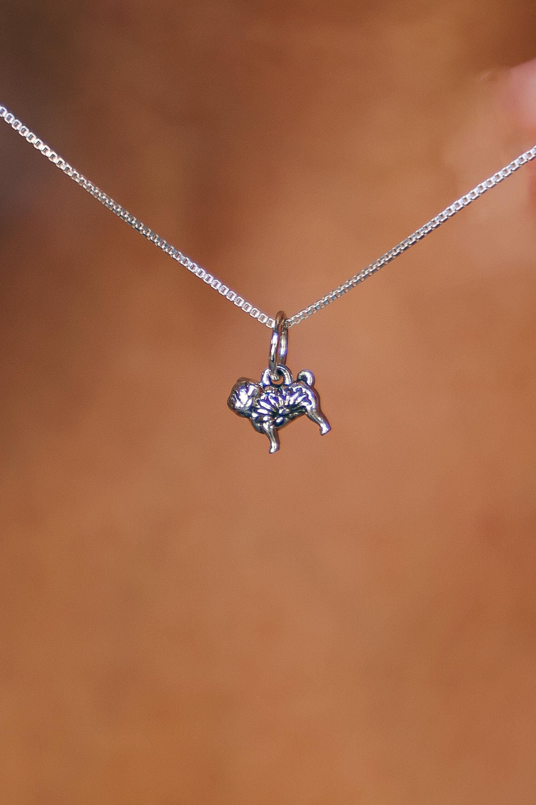 COLLAR PUG DE PLATA