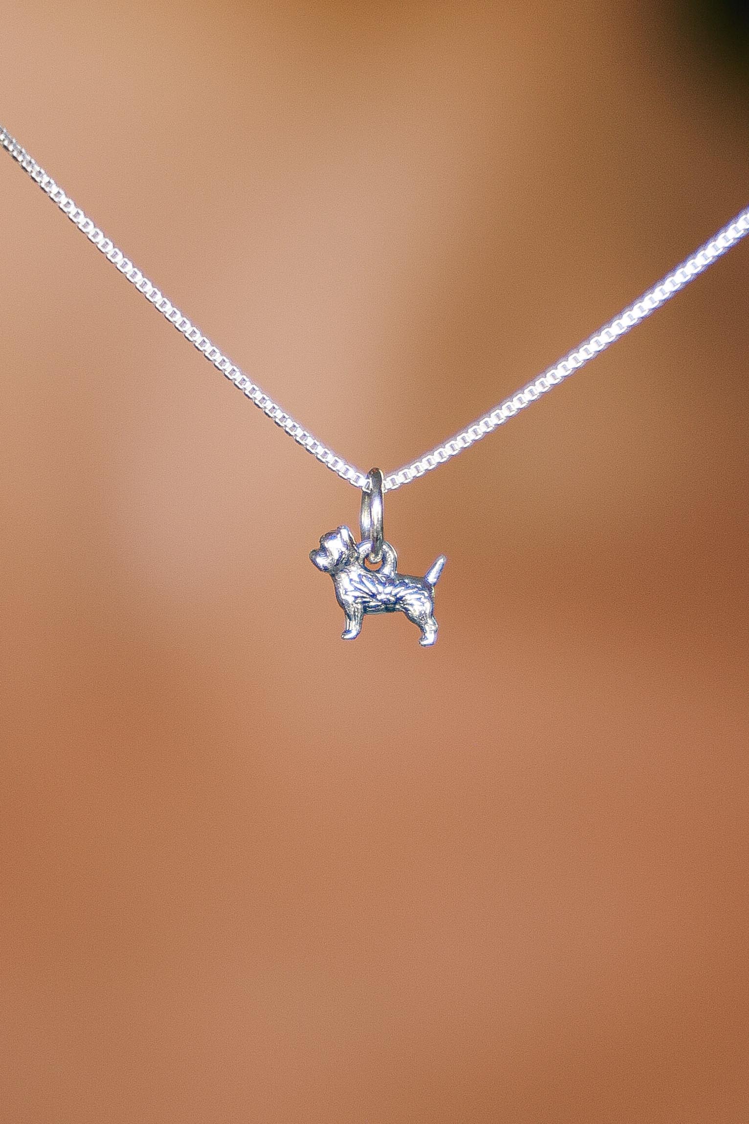 COLLAR YORKSHIRE / WESTIE/ SCHNAUZER DE PLATA