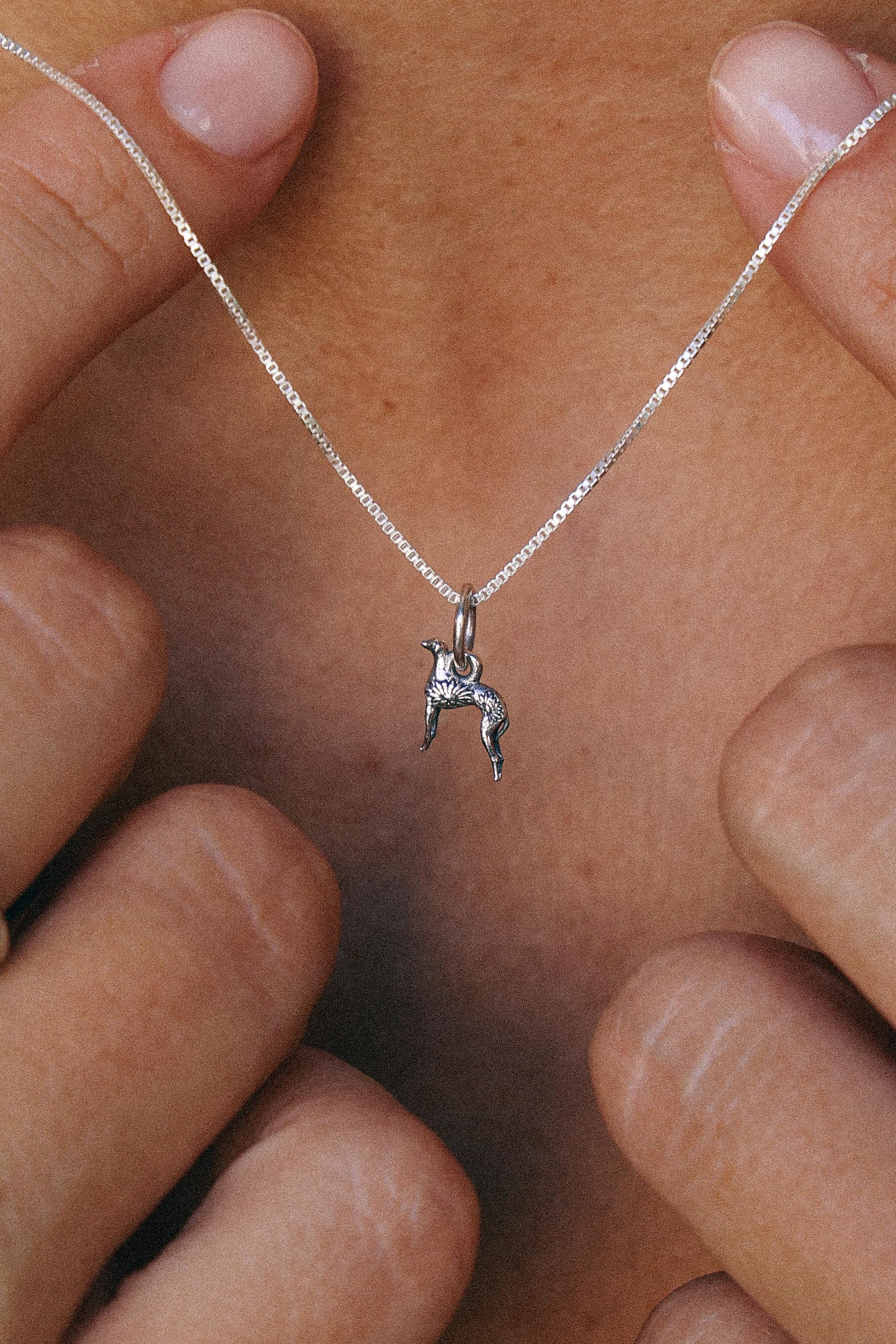 COLLAR GALGO DE PLATA