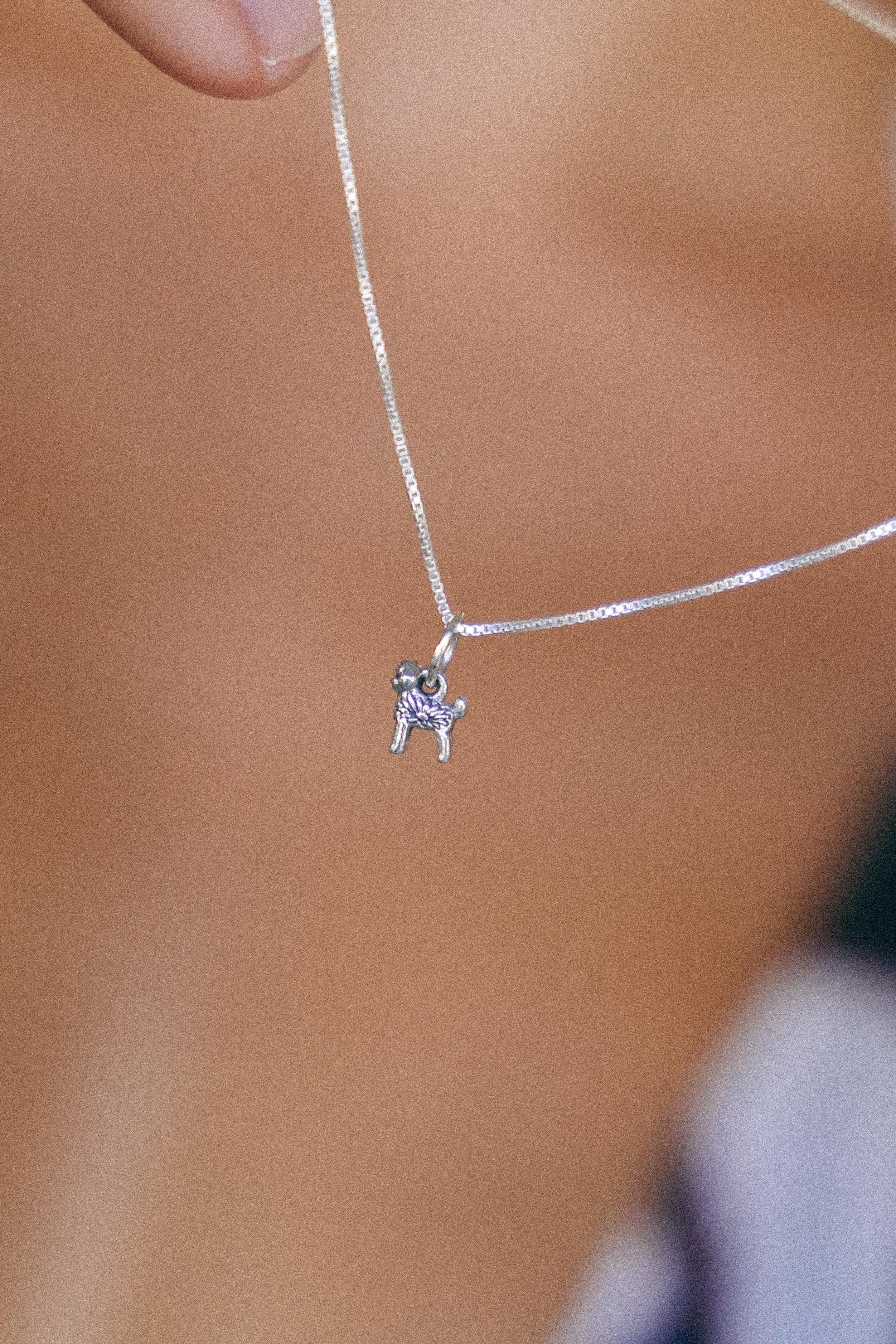 COLLAR POODLE O CANICHE DE PLATA