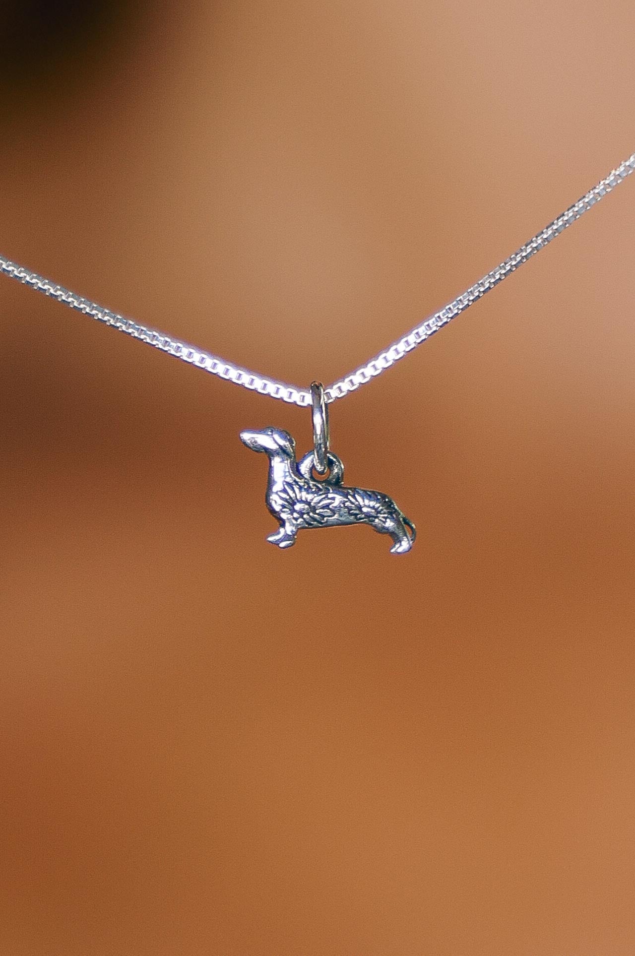 COLLAR SALCHICHA DE PLATA