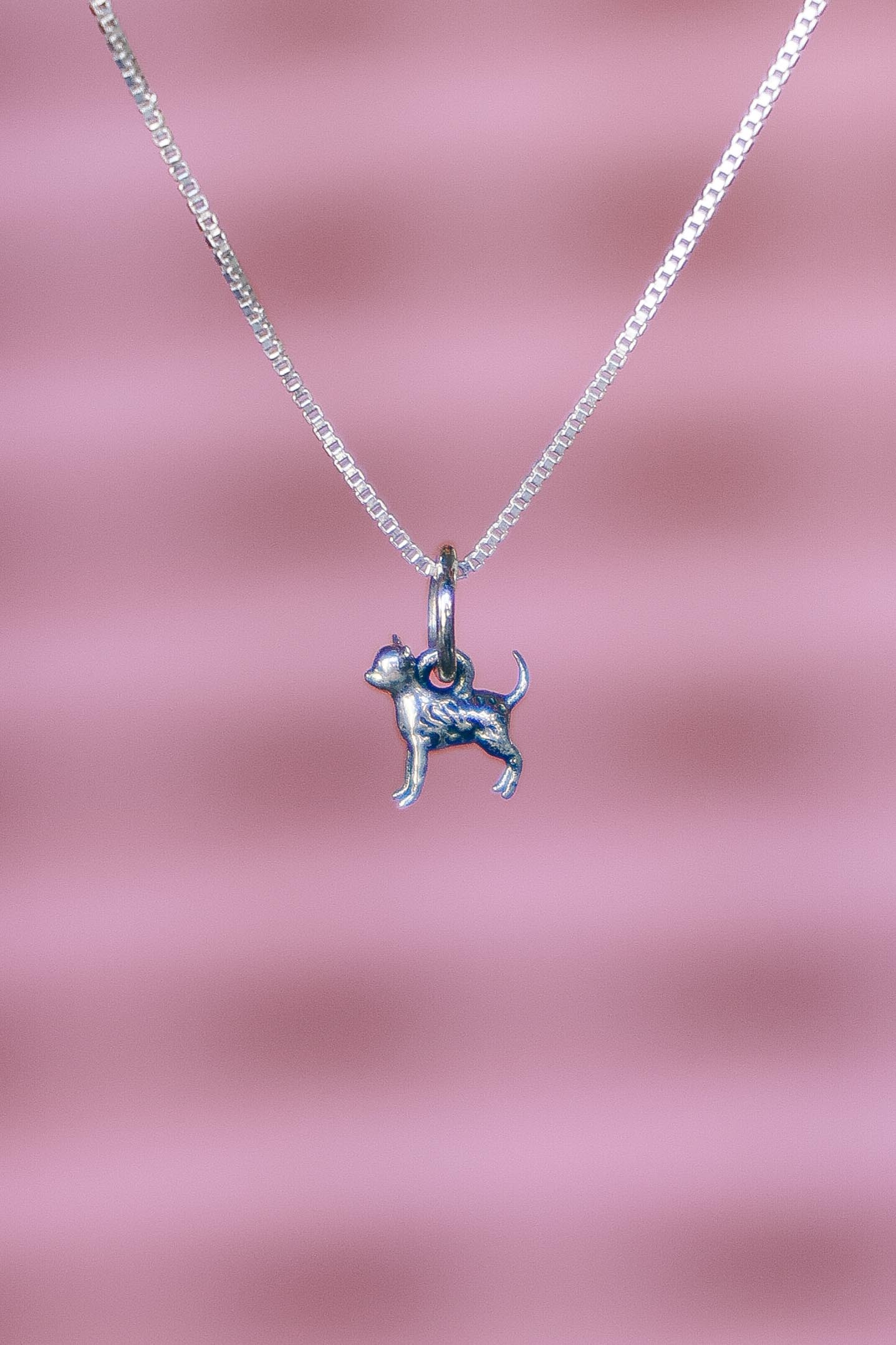 COLLAR CHIHUAHUA DE PLATA