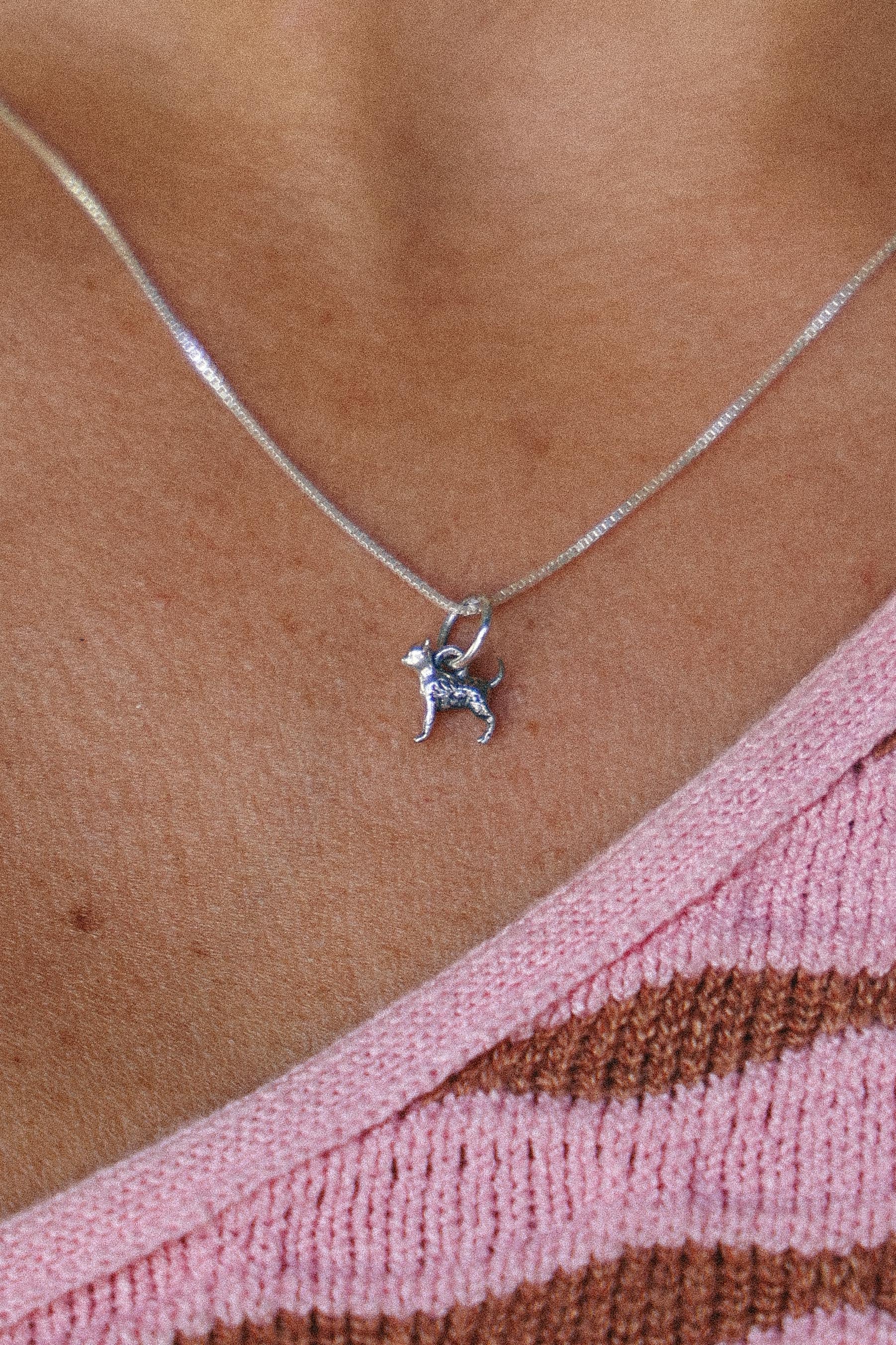 COLLAR CHIHUAHUA DE PLATA