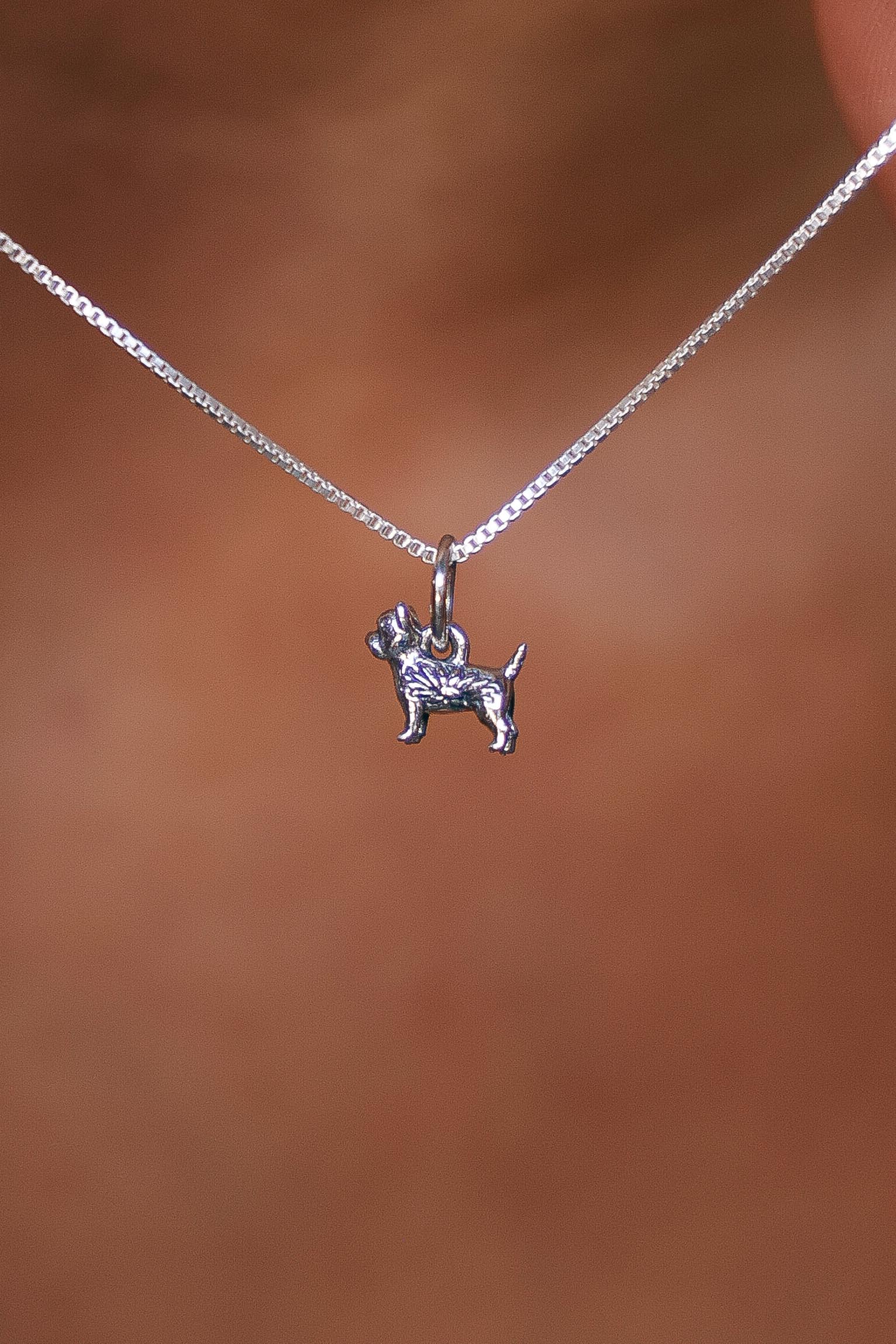 COLLAR YORKSHIRE / WESTIE/ SCHNAUZER DE PLATA