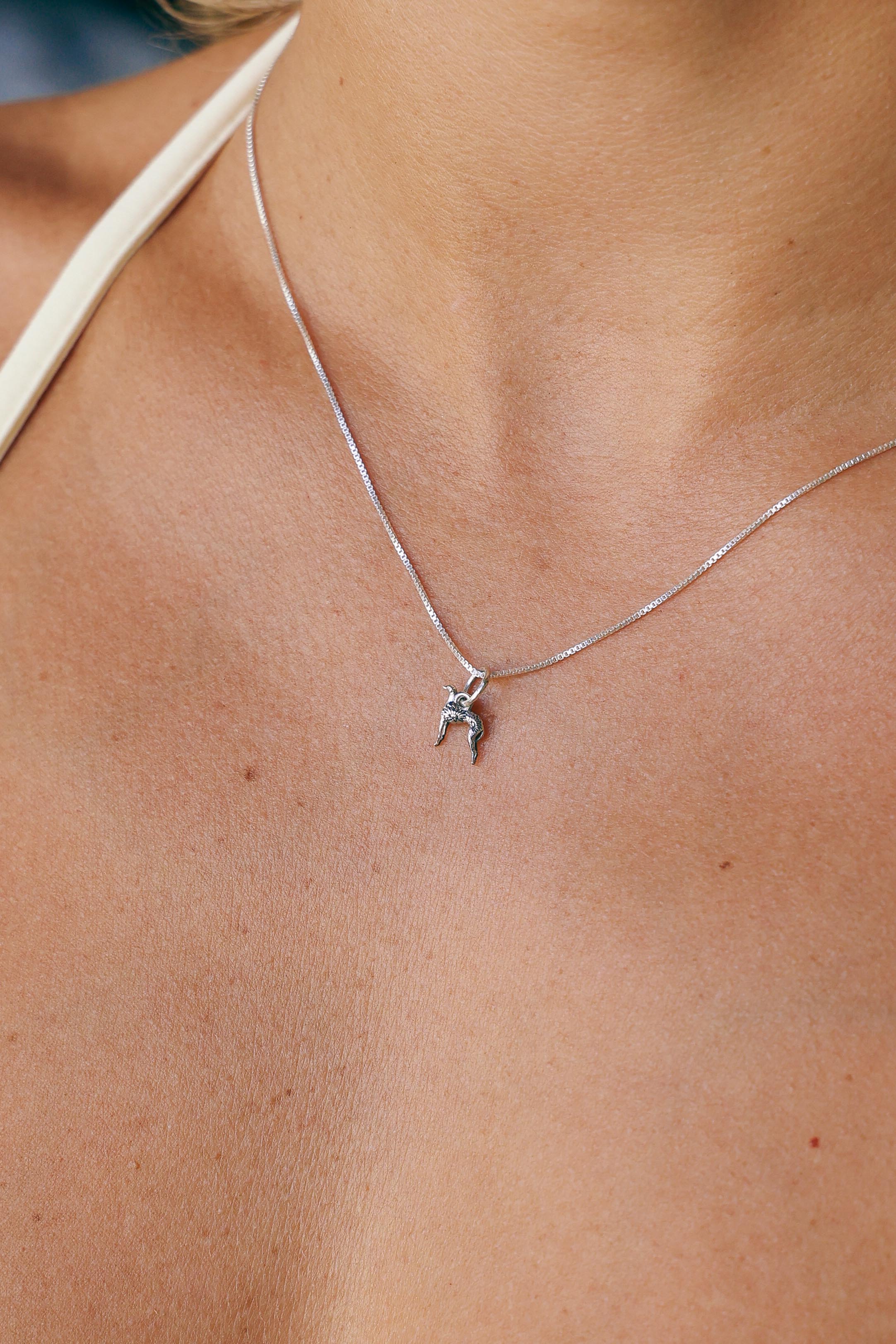 COLLAR GALGO DE PLATA