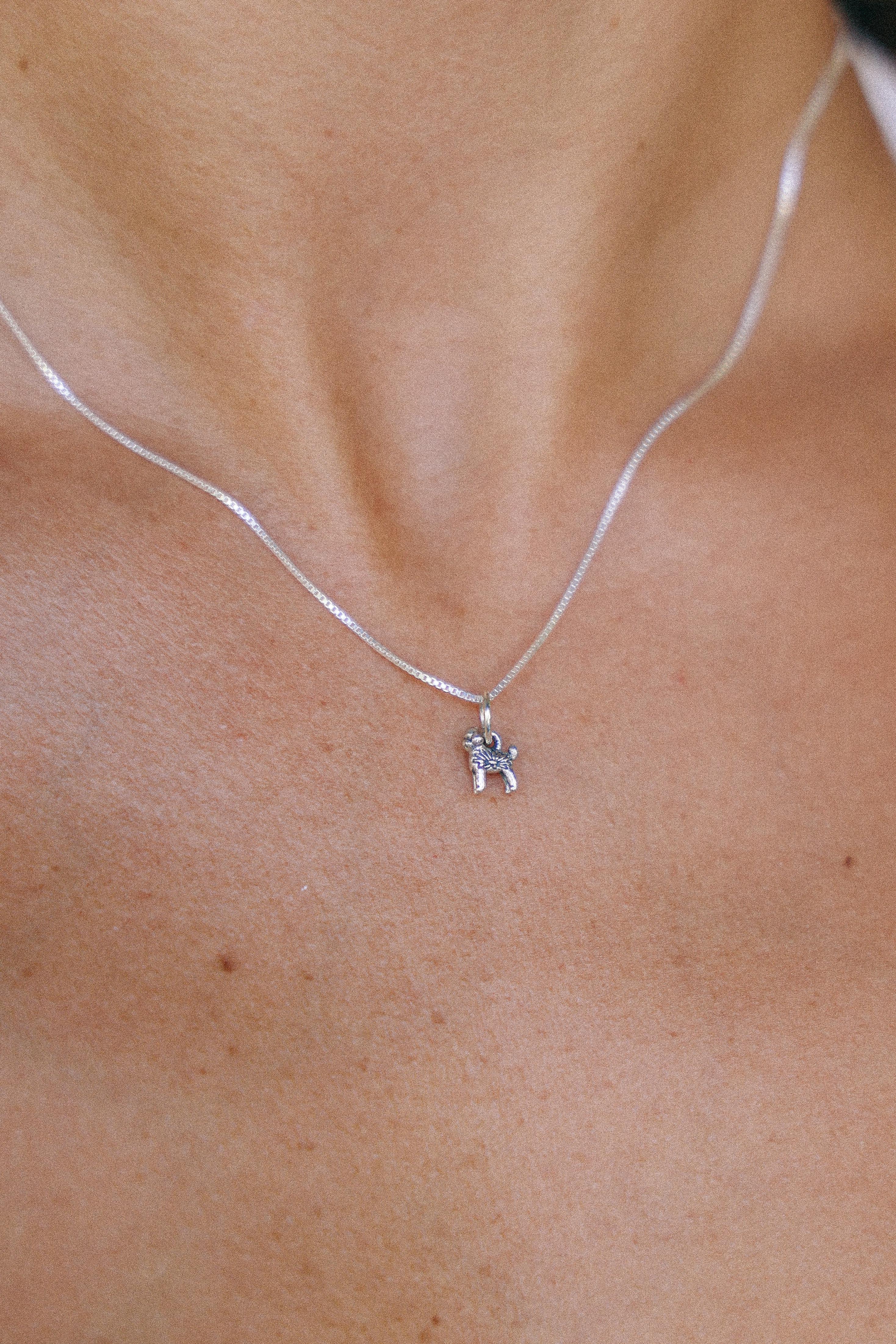 COLLAR POODLE O CANICHE DE PLATA