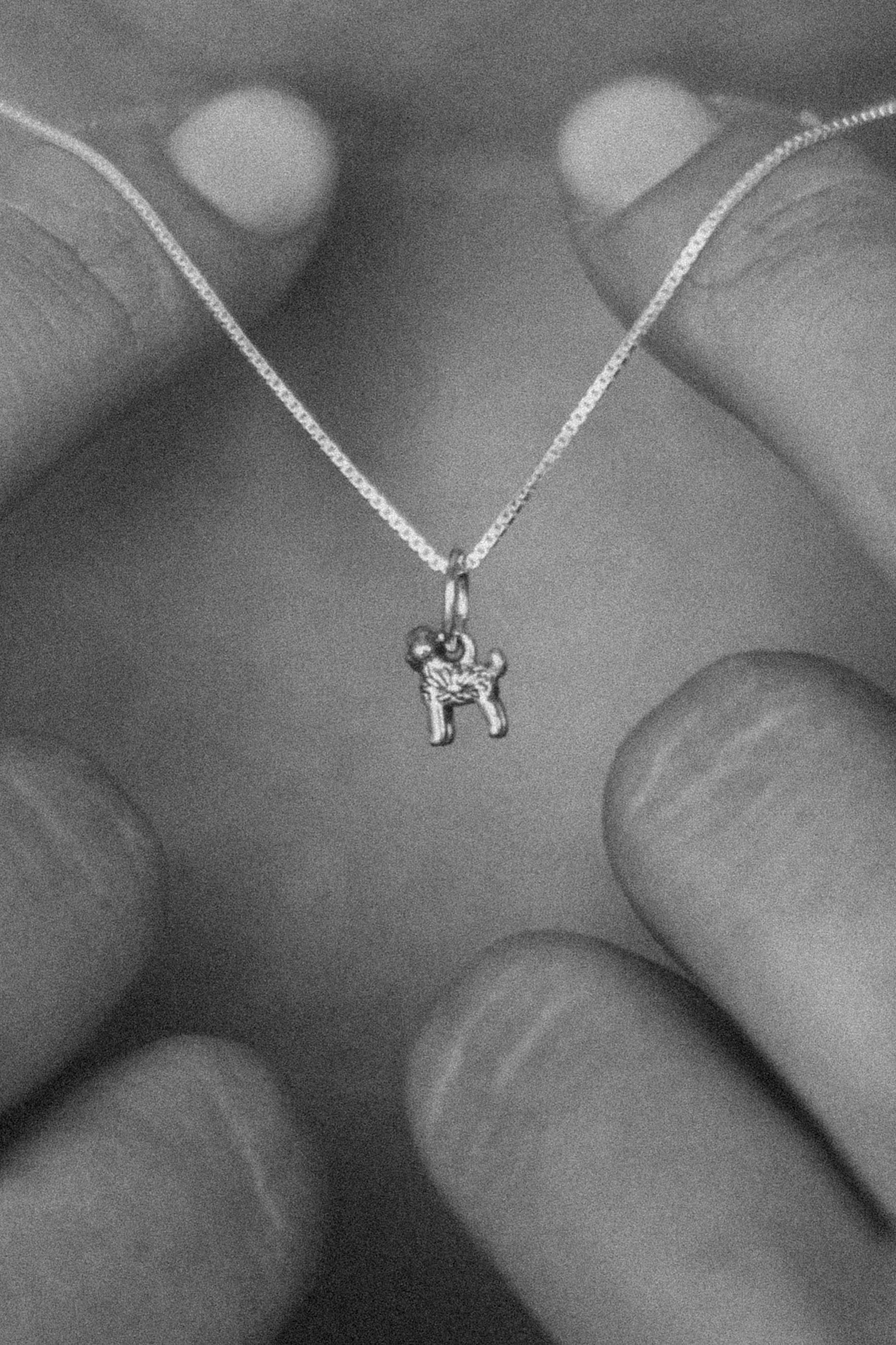 COLLAR POODLE O CANICHE DE PLATA
