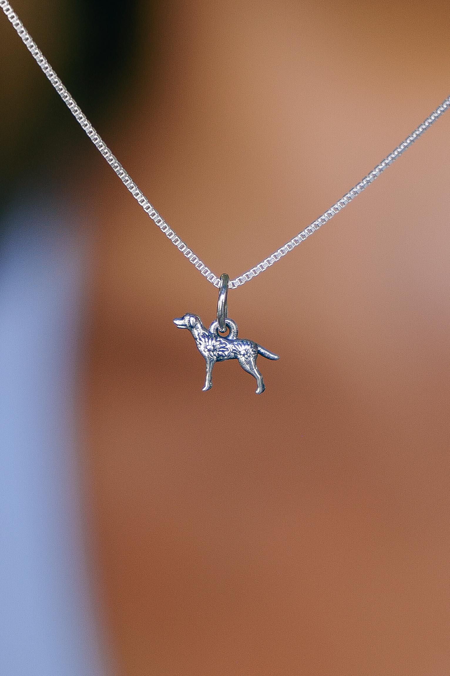 COLLAR GOLDEN/LABRADOR DE PLATA