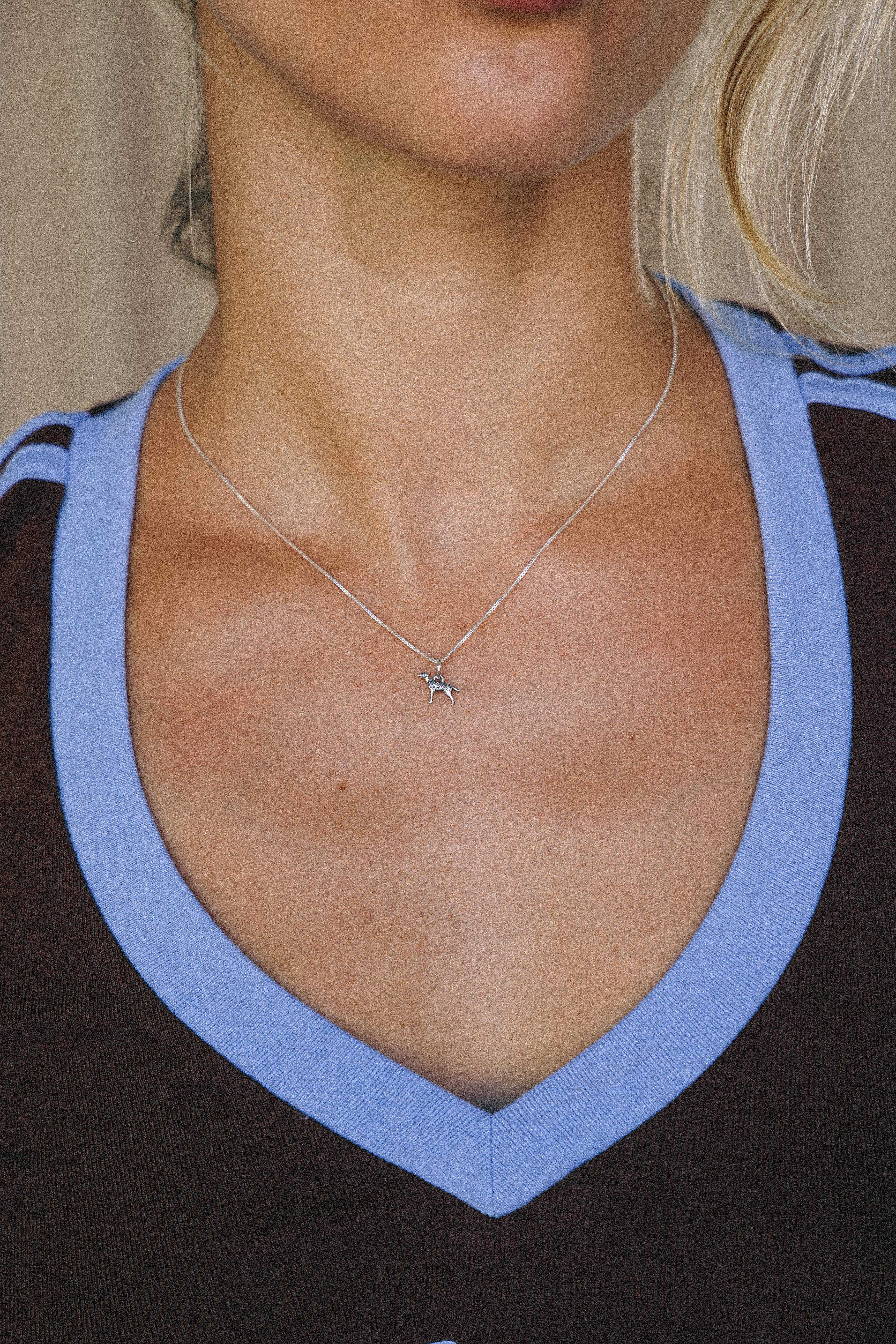 COLLAR GOLDEN/LABRADOR DE PLATA
