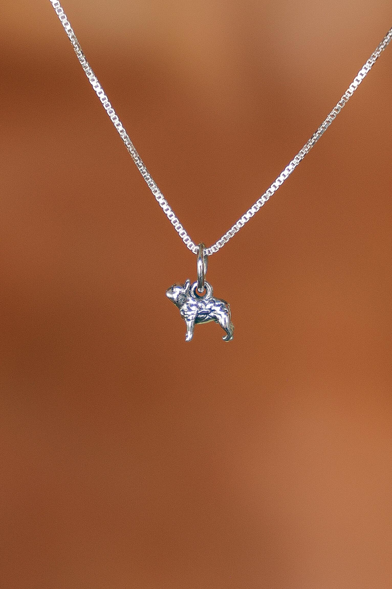 COLLAR BULLDOG DE PLATA