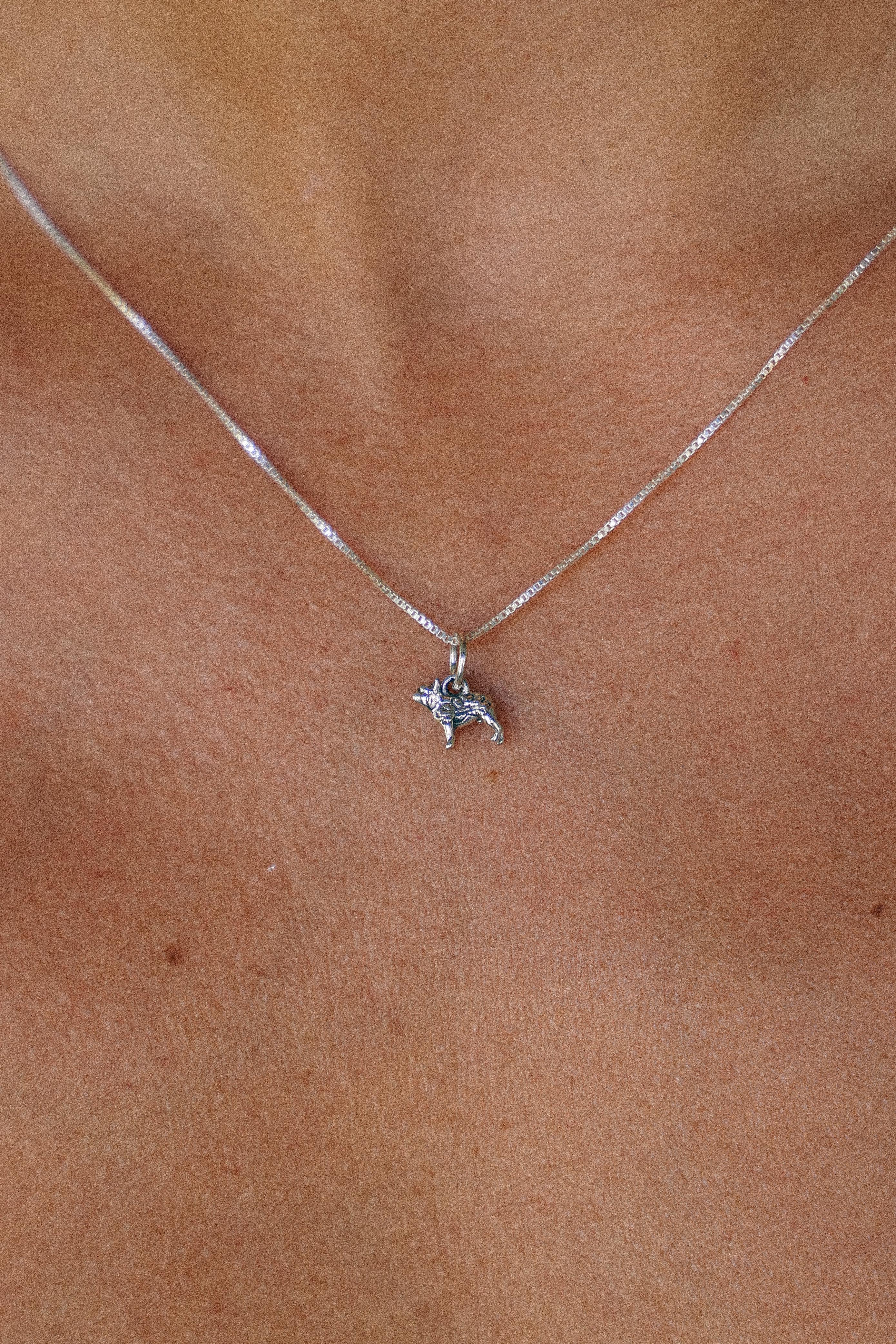 COLLAR BULLDOG DE PLATA