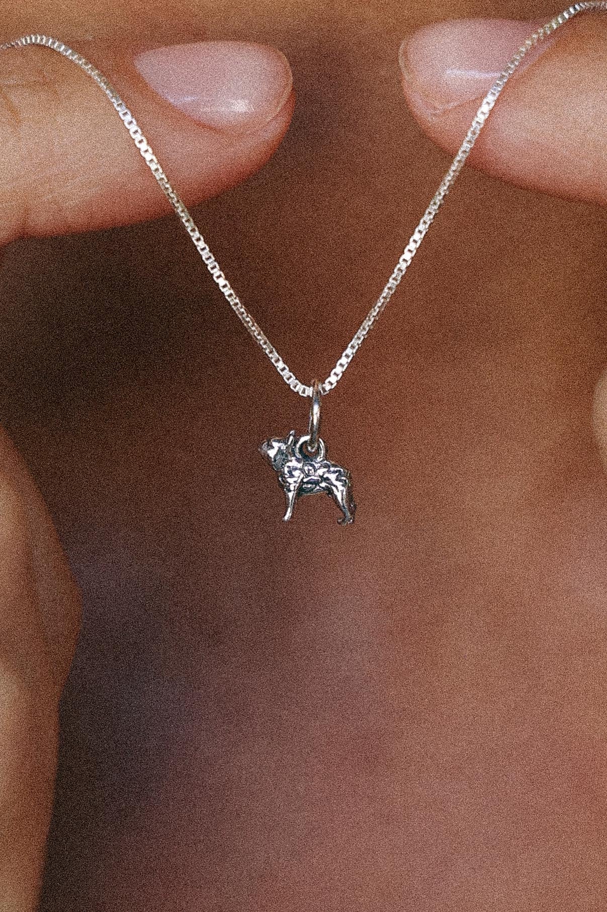 COLLAR BULLDOG DE PLATA